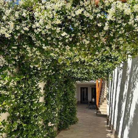 El Patio De Los Jazmines Boutique-House Consuegra Eksteriør billede